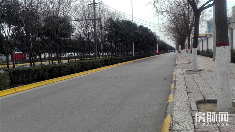 左边万科城,右边智慧城,合能公馆在长安一点也不偏!