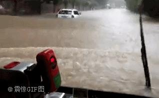 朕来了接驾图片搞笑,朕的搞笑图片