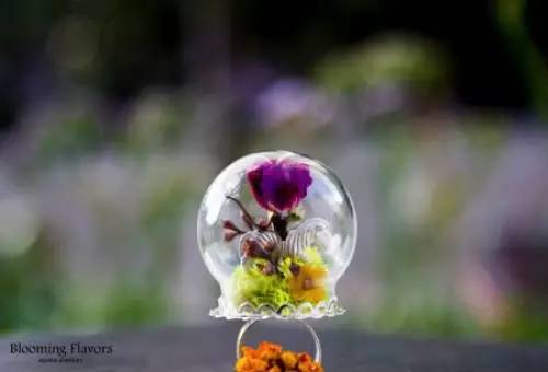 情人节多变戒指,情人节别送的礼物