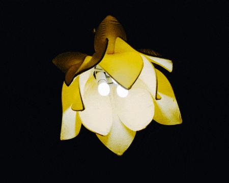 圣珈瑜伽理疗馆门票,圣珈瑜伽私教一对一