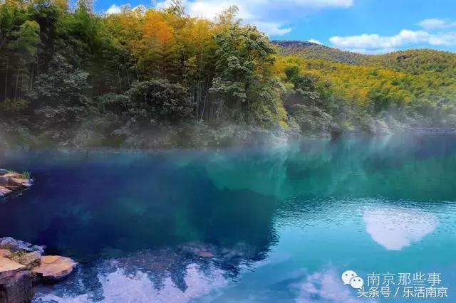 南京踏青赏梅乐享春光,赏梅园