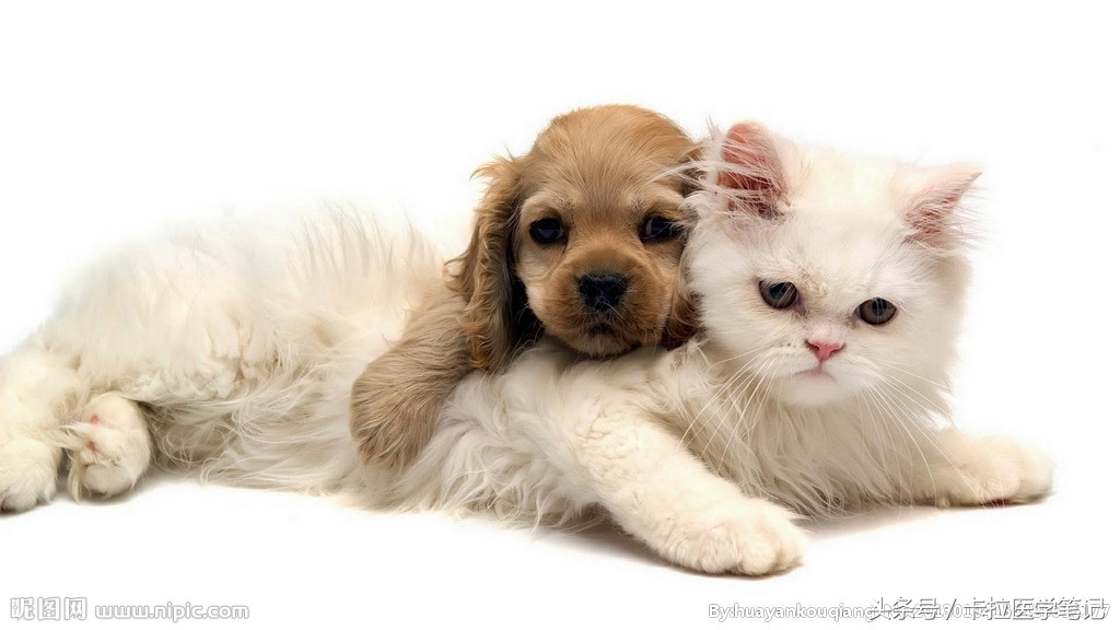 春季总是犯鼻炎或皮肤过敏，盘点10种过敏原的预防