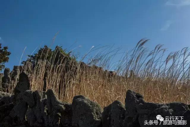 济州岛东线一日游公交攻略,济州岛步行街攻略