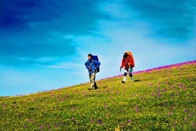 户外一天出游装备清单,汇客厅