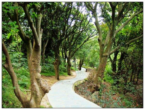 厦门慢节奏攻略,厦门慢生活攻略