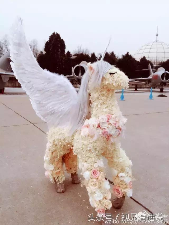 明星情人节礼物,明星情人节礼物一览表