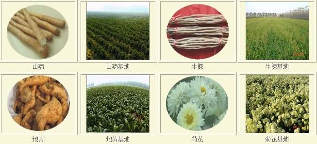 送礼物你送对了吗,送礼佳品送长辈