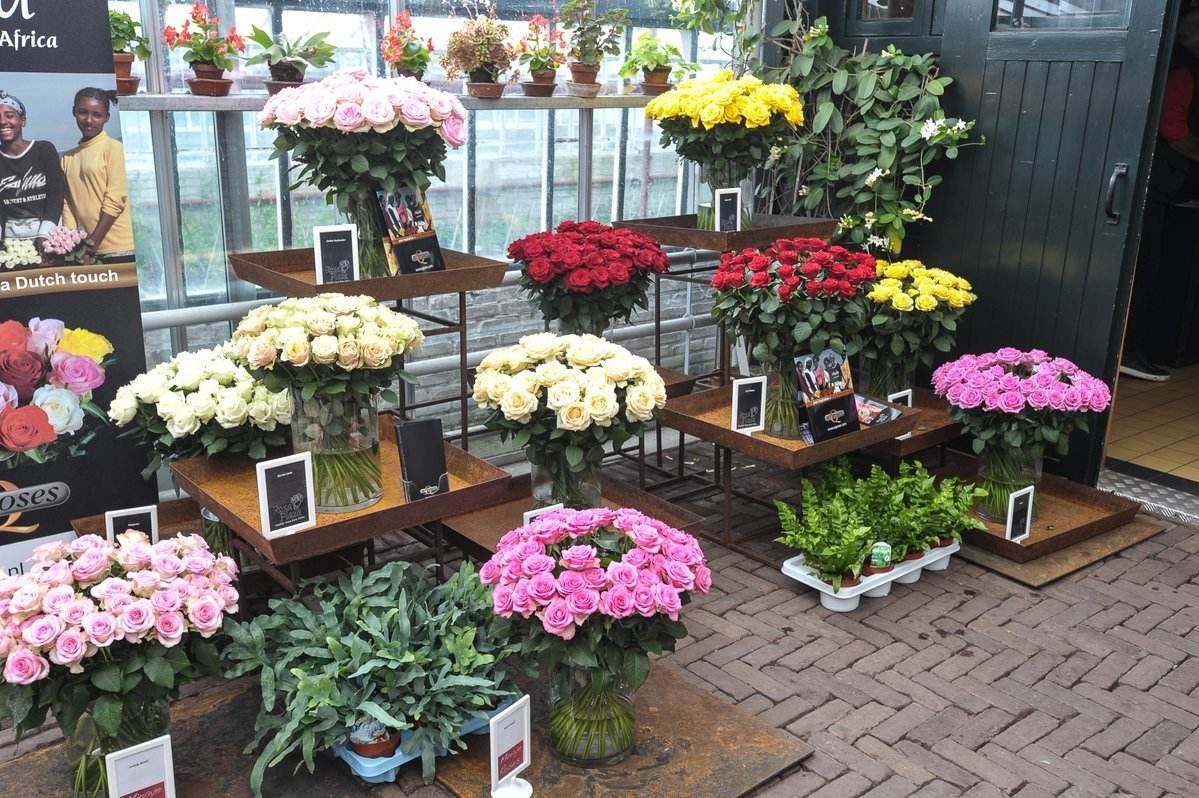 2022小县城最赚钱的行业小本生意,2022小城市什么生意最赚钱