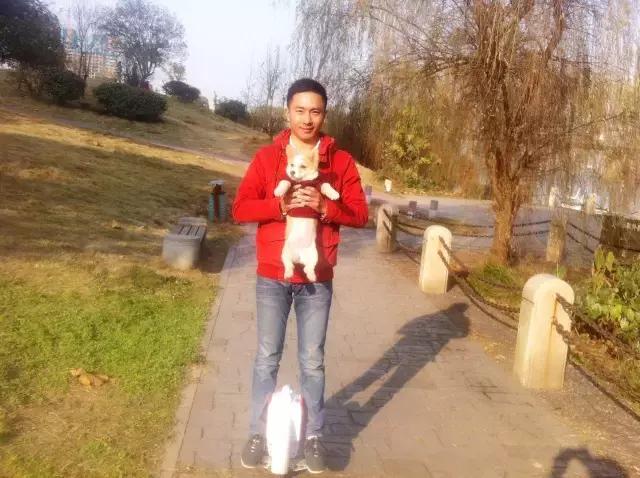 长沙宠物蜥蜴品种有哪些,别人家养的宠物蜥蜴食肉动物