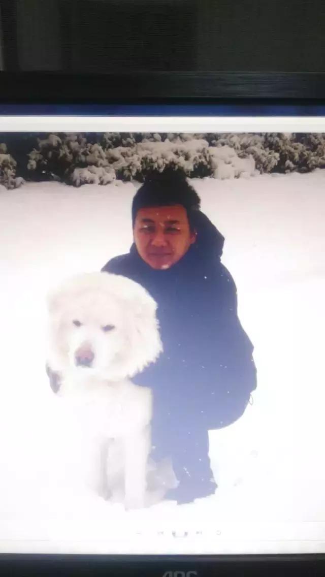 长沙人爱养什么品种的鸟,长沙人为什么喜欢养乌龟