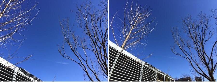 手机外置超广角镜头效果,手机加外置单反镜头评测