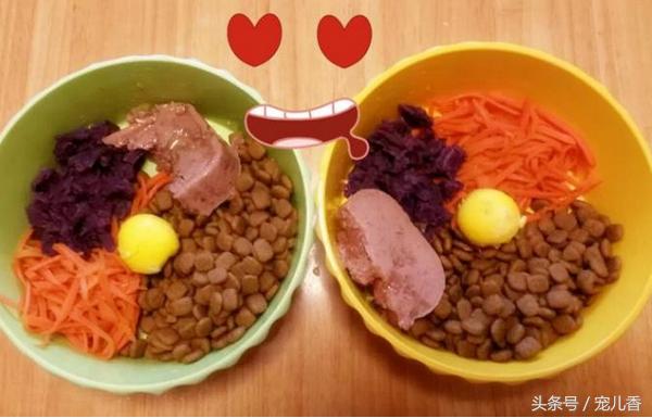 宠物缺微量元素怎么补,微量元素少却作用很大