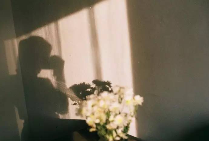 郑爽:我想静静,所以开个小号