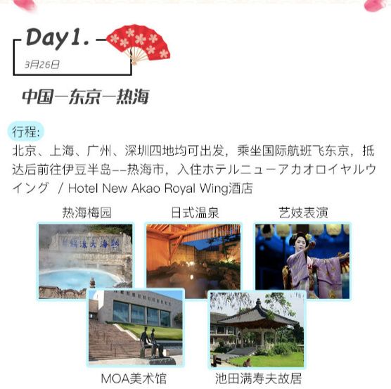 樱花短途旅行包大容量,樱花三月去踏青加长版