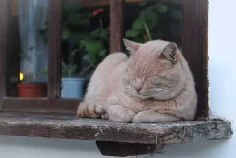 除了代购如何购买到正宗的护肤品,除了韩国代购还能在哪里买化妆品