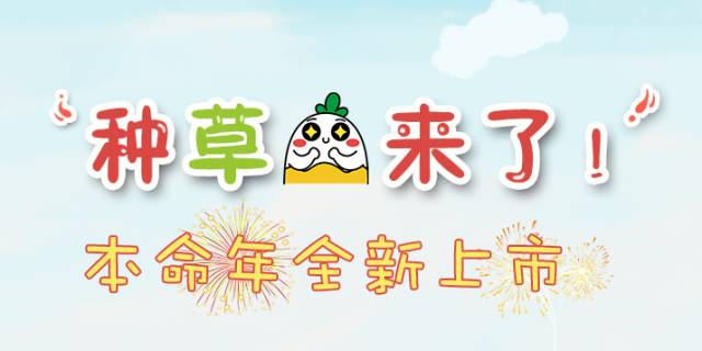 眼影口红粉底液推荐,粉饼眼影口红平价