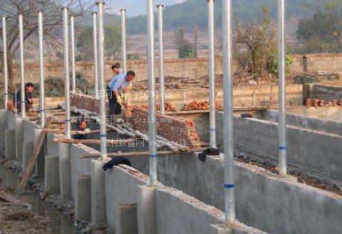 关于农村建猪舍养猪的规定,中央养猪新政策农田能建猪舍吗