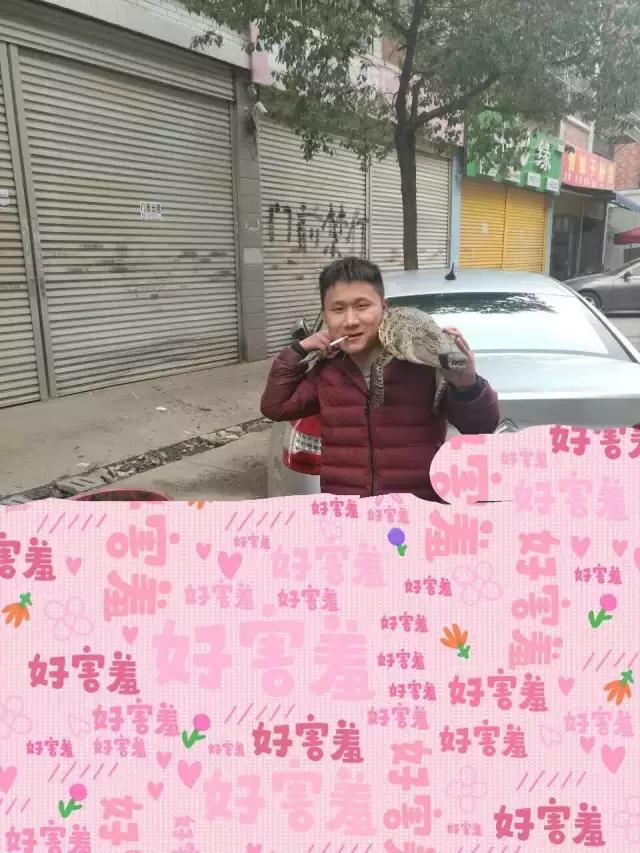 长沙人爱养什么品种的鸟,长沙人为什么喜欢养乌龟