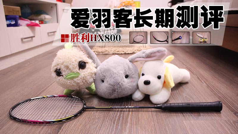 胜利羽毛球拍hx800,羽毛球拍从入门到高端推荐