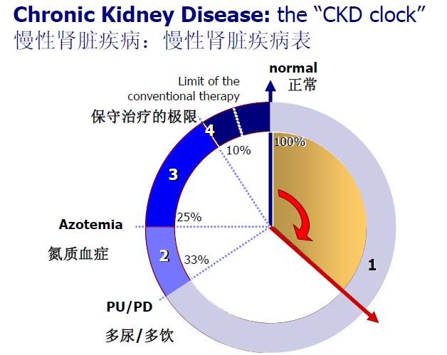 百病食疗食谱大全表,倪海厦关于肾功能衰竭的饮食忌讳