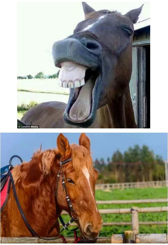 田野音乐会空降清逸园,花海与音乐,约不约?