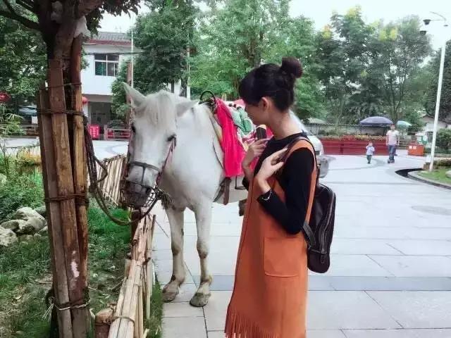 成都郫都区周边烧烤最佳景点,郫都最值得玩耍的地方