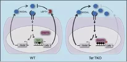 2022年中国重大科技盘点,2020年重大科学与工程