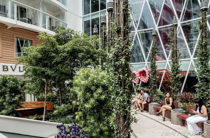 可以容纳5万人的游轮,漂浮城市船