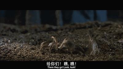 这是你们要的大长腿，备好纸巾，准备上下其手吧