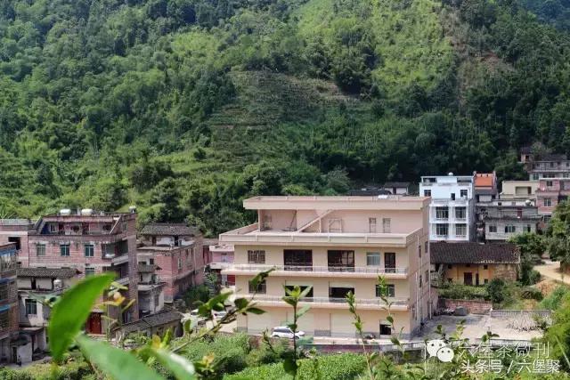 六堡茶黎宝林,茶江湖茶业旗舰店