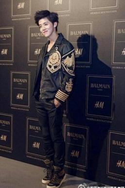 鹿晗真的有178cm吗,鹿晗增高