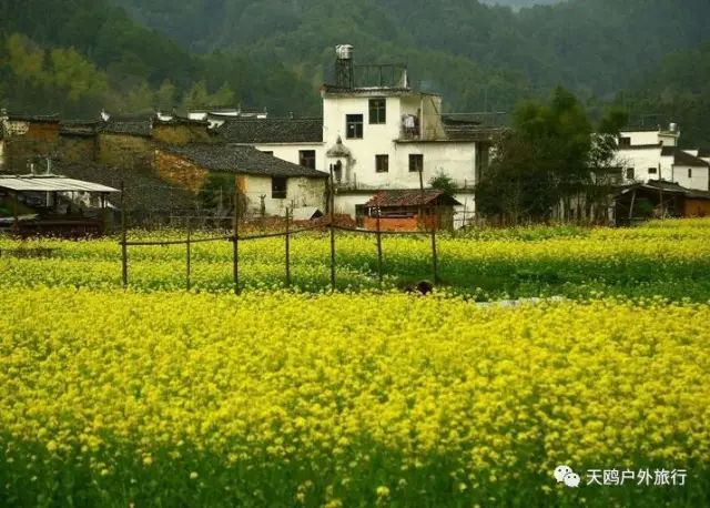 郑州到婺源自由行攻略,郑州去婺源怎么去
