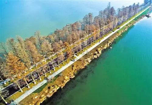 尖叫吧原版视频,尖叫吧视频大全