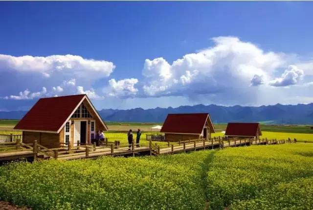 尖叫吧原版视频,尖叫吧视频大全