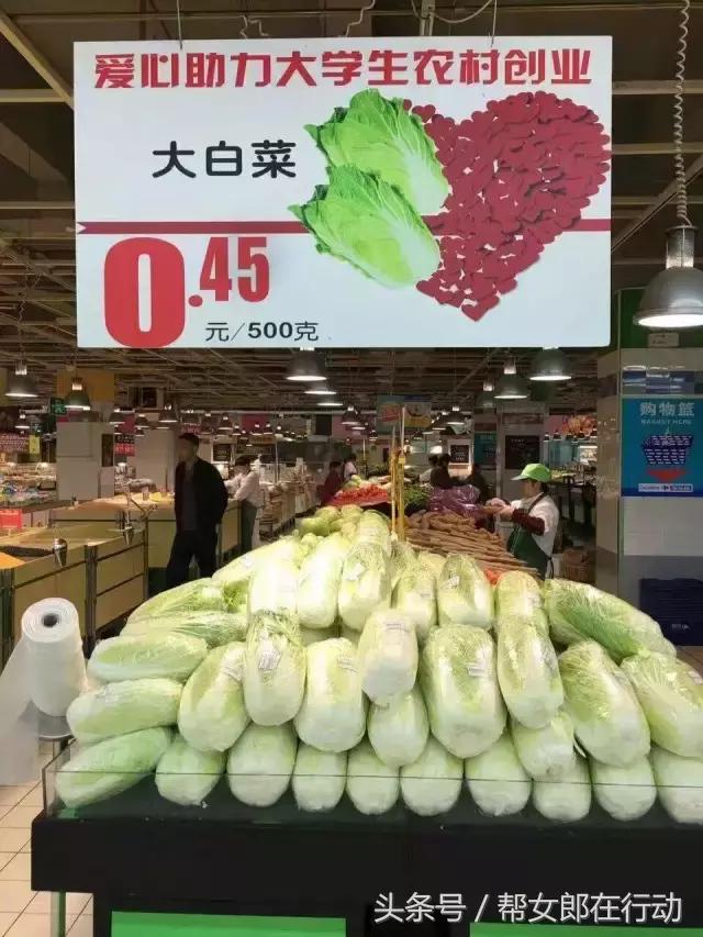 大学生返乡创业愁销路,大学生返乡创业帮农民致富增收