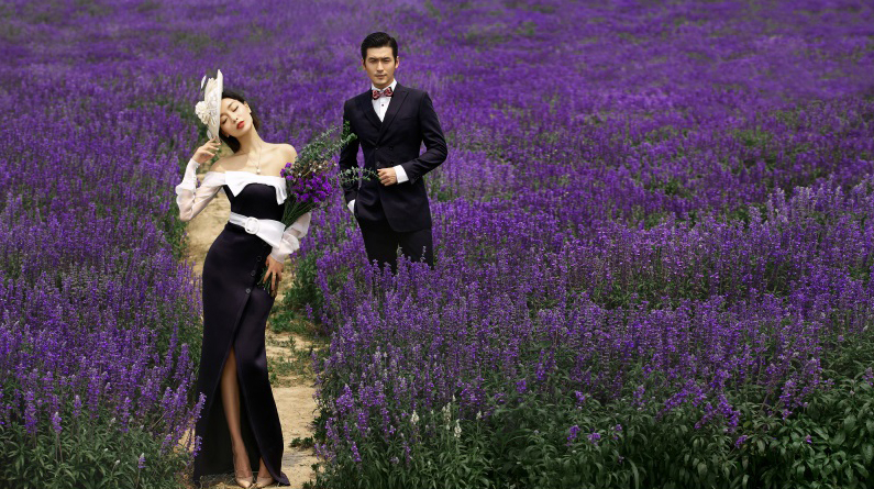 薰衣草的浪漫花语和寓意,薰衣草花语和寓意是什么