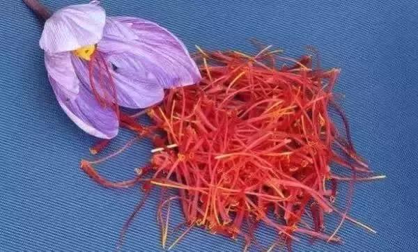 刘虎岐：想要种中草药赚钱，你先得了解它们！