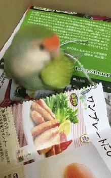 十条笑话：父亲一边吃排骨一边骂我连肉都不舍的给他买