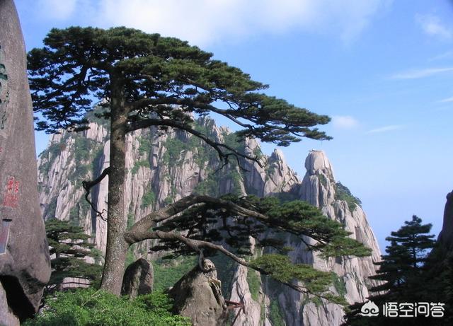 各省标志性景点,全国各省旅游景点一览表