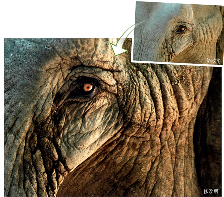 西双版纳从下飞机开始的攻略,进入西双版纳的视频