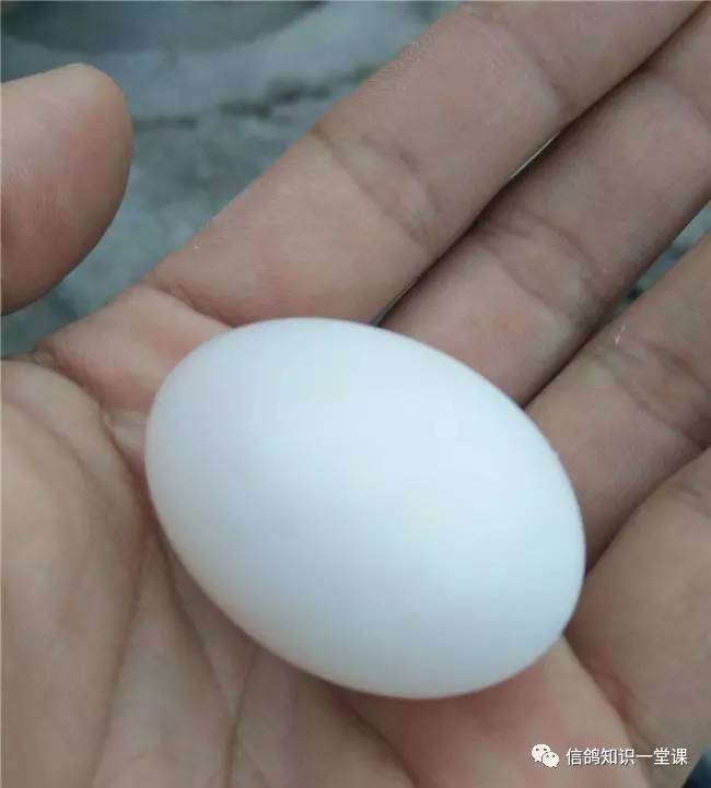 新手前期配对技巧是什么,新手前期应该怎么配队