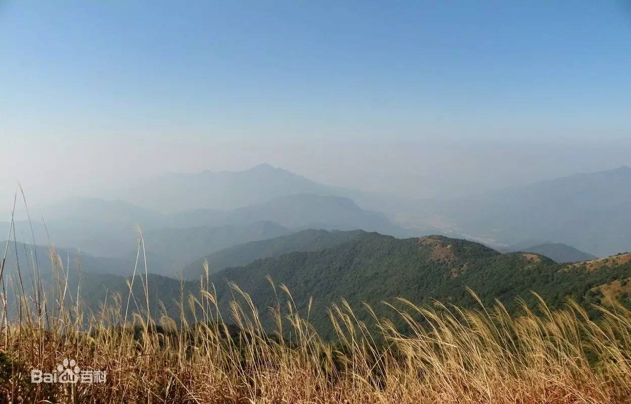 今日关注｜您好我叫从化，这是我的最新简历