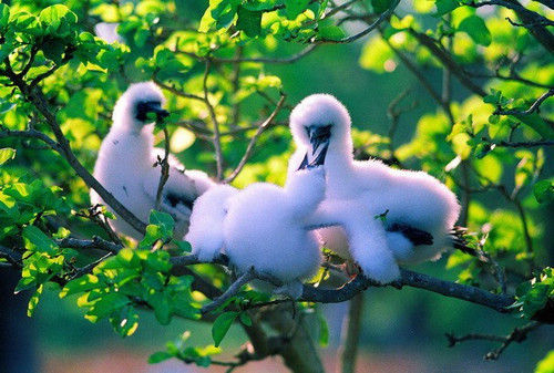 到西沙群岛旅游全程费用,个人如何去西沙