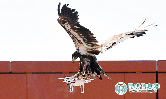 空中违章,无人机空中巡查违法