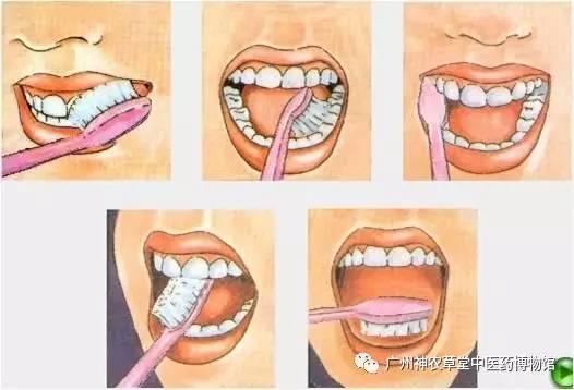 舌头上的脏东西需要每天清洁吗,舌头发白是口腔粘膜损坏吗