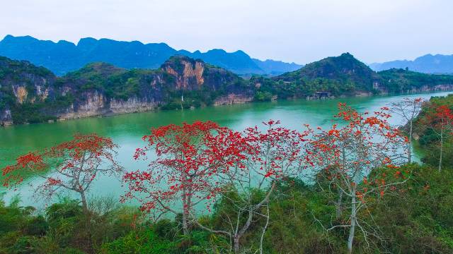 南宁游玩踏青攻略路线推荐,南宁春游赏花攻略图