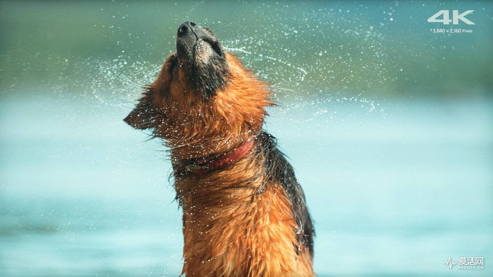 索尼x9300e支持3d吗,索尼55x9300e深度评测