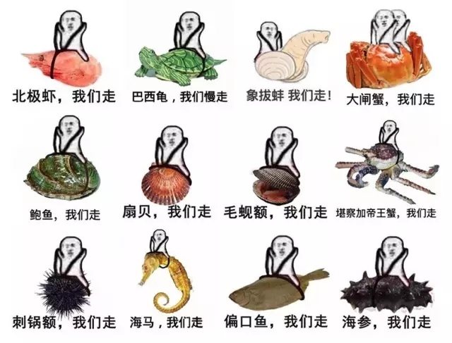 皮皮虾有多好吃,皮皮虾到底有啥好吃的