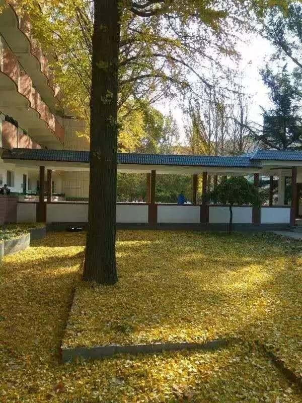 山东淄博二中,淄博二中