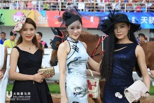 马术文化节开幕,鄂尔多斯驭马节赛事